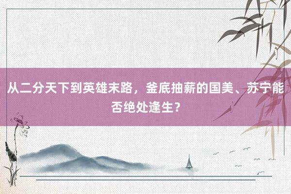 从二分天下到英雄末路，釜底抽薪的国美、苏宁能否绝处逢生？