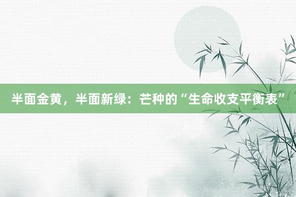 半面金黄，半面新绿：芒种的“生命收支平衡表”