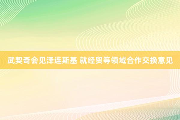武契奇会见泽连斯基 就经贸等领域合作交换意见