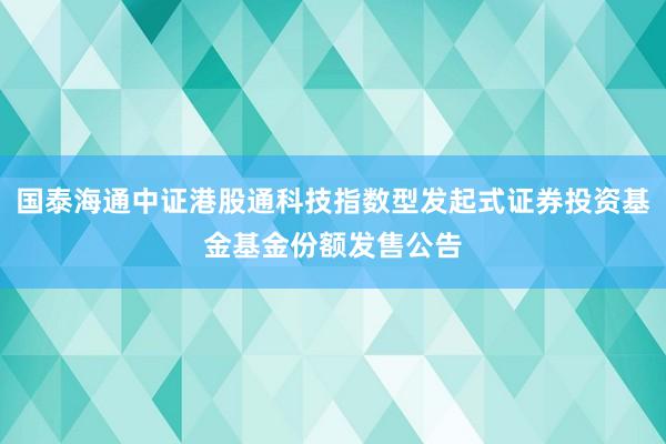 国泰海通中证港股通科技指数型发起式证券投资基金基金份额发售公告