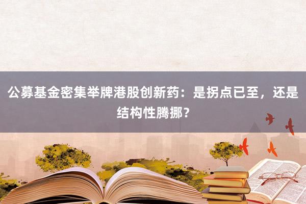 公募基金密集举牌港股创新药：是拐点已至，还是结构性腾挪？