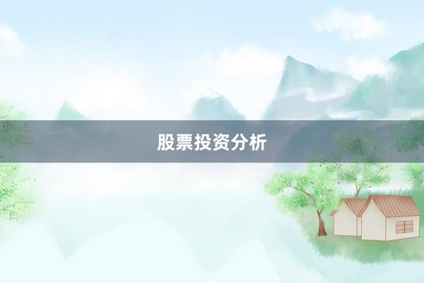 股票投资分析