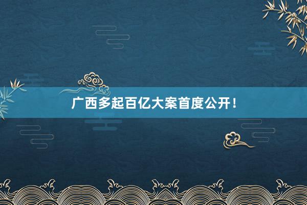 广西多起百亿大案首度公开！