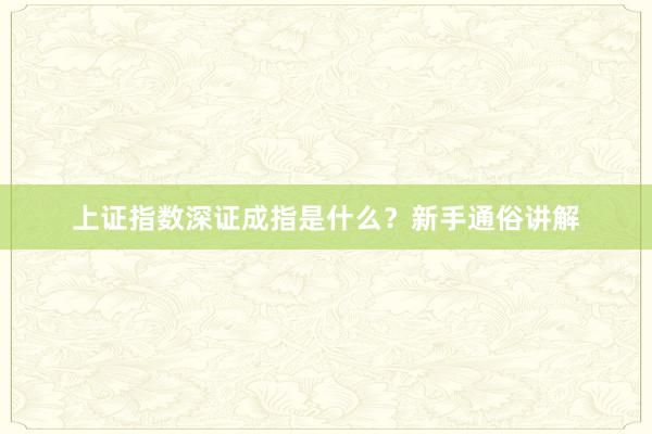 上证指数深证成指是什么？新手通俗讲解