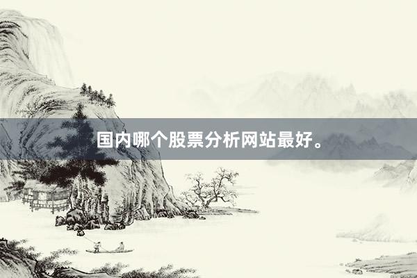 国内哪个股票分析网站最好。