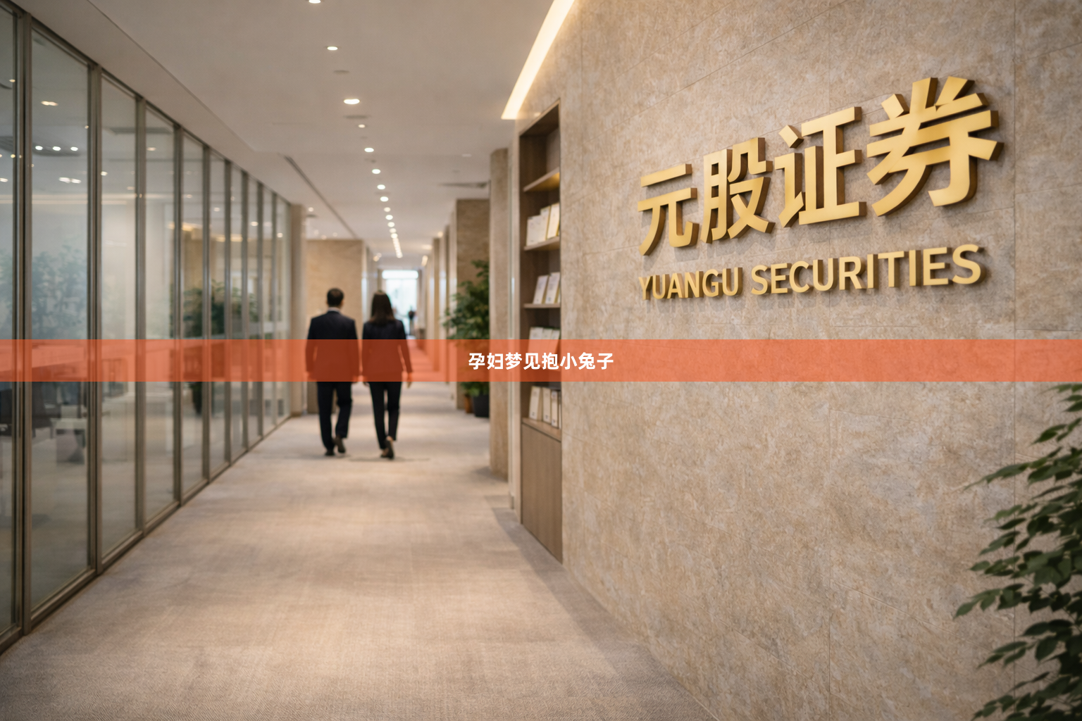孕妇梦见抱小兔子