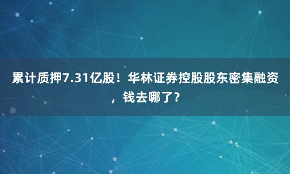 累计质押7.31亿股！华林证券控股股东密集融资，钱去哪了？
