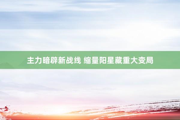主力暗辟新战线 缩量阳星藏重大变局