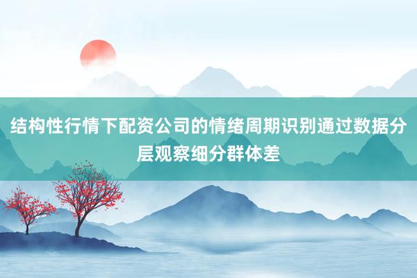 结构性行情下配资公司的情绪周期识别通过数据分层观察细分群体差