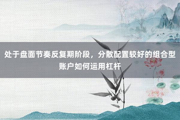 处于盘面节奏反复期阶段，分散配置较好的组合型账户如何运用杠杆