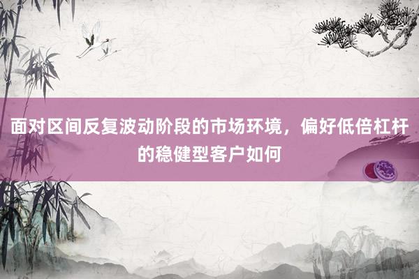 面对区间反复波动阶段的市场环境，偏好低倍杠杆的稳健型客户如何