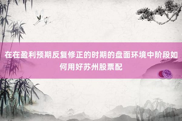 在在盈利预期反复修正的时期的盘面环境中阶段如何用好苏州股票配
