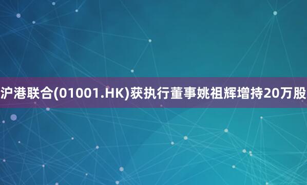 沪港联合(01001.HK)获执行董事姚祖辉增持20万股