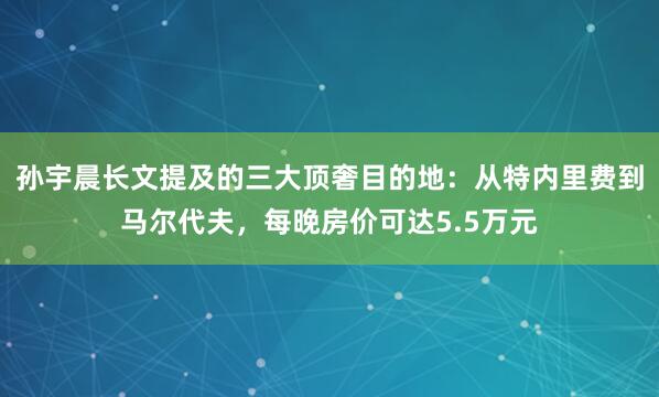 孙宇晨长文提及的三大顶奢目的地：从特内里费到马尔代夫，每晚房价可达5.5万元