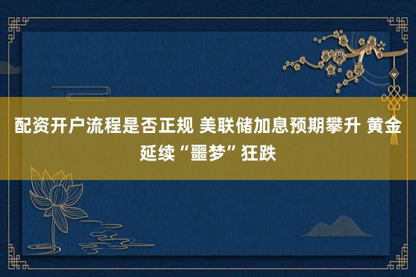 配资开户流程是否正规 美联储加息预期攀升 黄金延续“噩梦”狂跌
