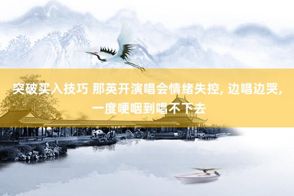 突破买入技巧 那英开演唱会情绪失控, 边唱边哭, 一度哽咽到唱不下去