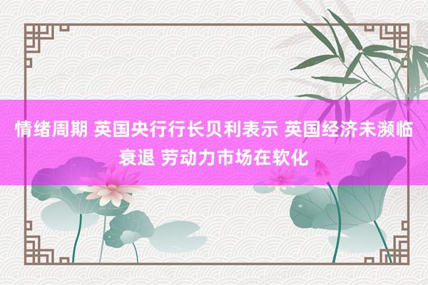 情绪周期 英国央行行长贝利表示 英国经济未濒临衰退 劳动力市场在软化
