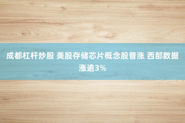 成都杠杆炒股 美股存储芯片概念股普涨 西部数据涨逾3%