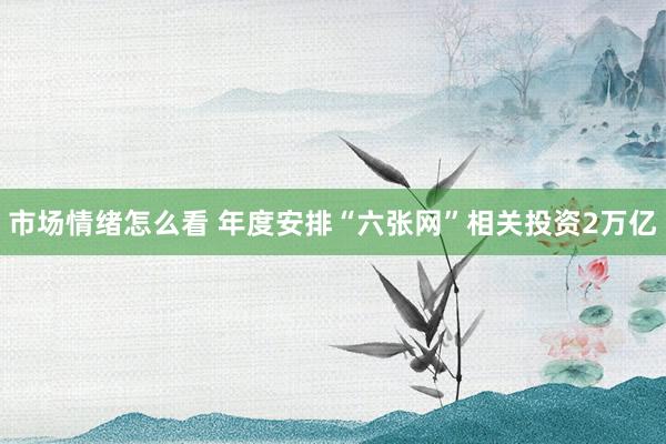 市场情绪怎么看 年度安排“六张网”相关投资2万亿