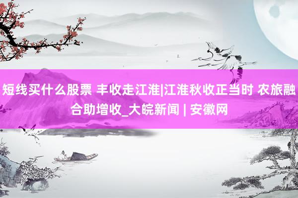 短线买什么股票 丰收走江淮|江淮秋收正当时 农旅融合助增收_大皖新闻 | 安徽网