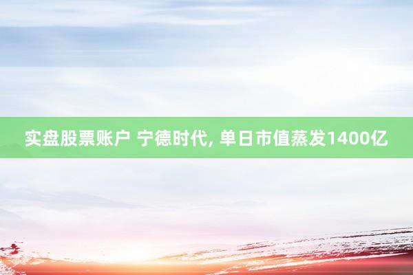 实盘股票账户 宁德时代, 单日市值蒸发1400亿